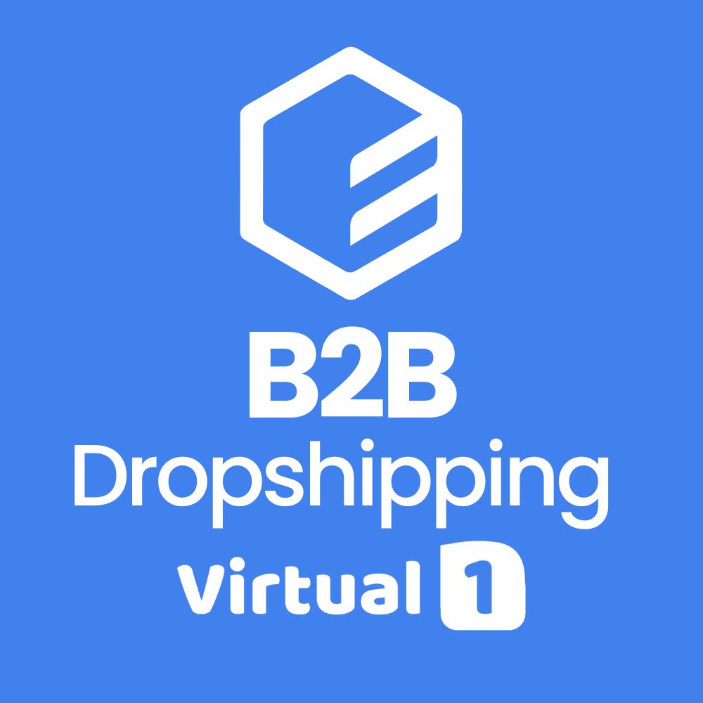 B2B Dropshipping Virtual1 (Hub)